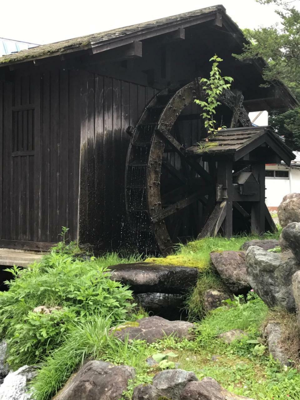 Community House Tyrolien Hotel Hakuba Eksteriør billede